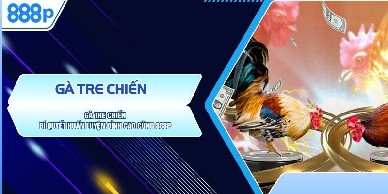 Gà Tre Chiến – Bí Quyết Huấn Luyện Đỉnh Cao Cùng 888P