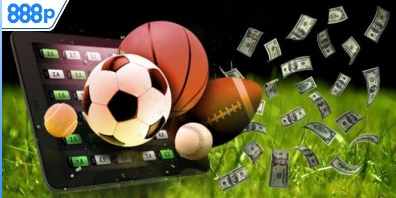 Thể thao 888P